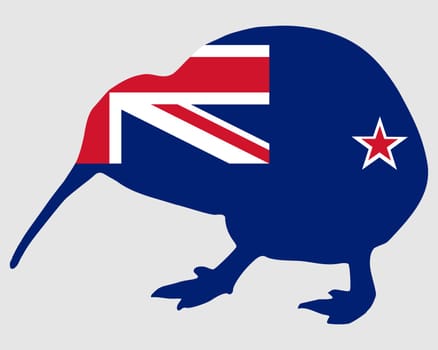 New Zealand Kiwi
