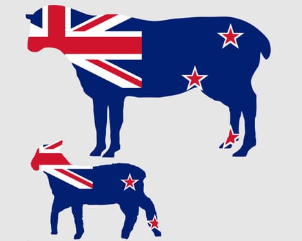 New Zealand's sheep