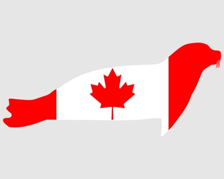 Canadian Seal