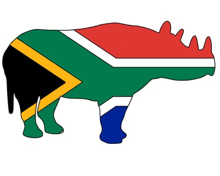 South African Rhinoceros