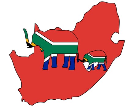 South African Elephants