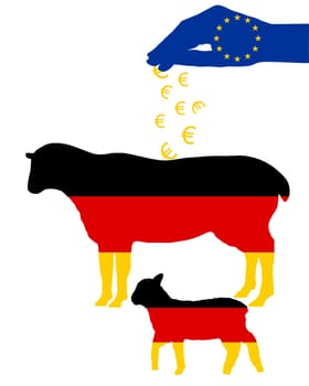 German sheep with EU subsidies