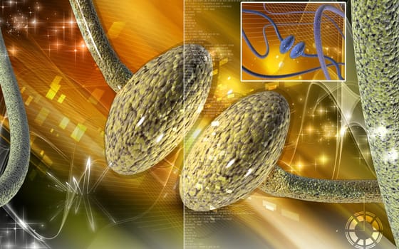 Synapse