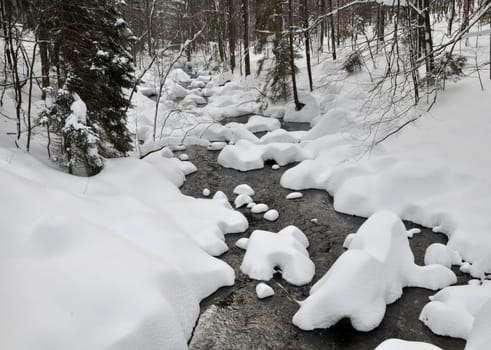 Bach in the Harz Mountains