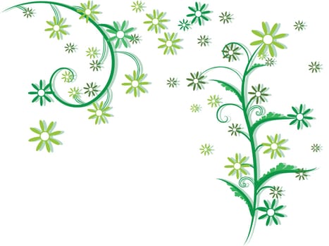 flowers foliage