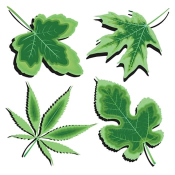 green leaves collection