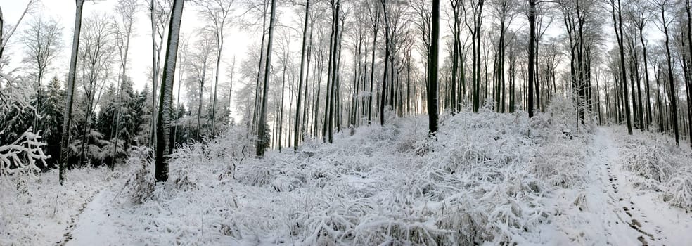 Winter panorama Kassel Habichtswald