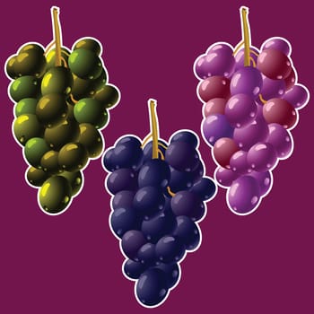 grapes clusters