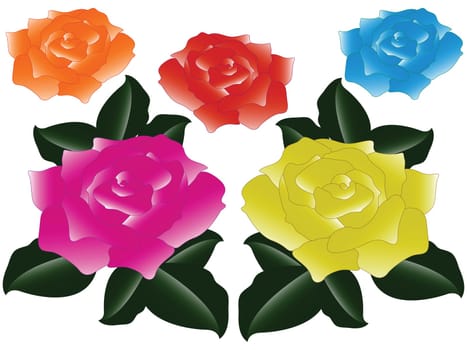 roses against white