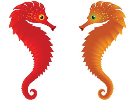 sea horses against white