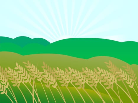 sunset landscape illustration