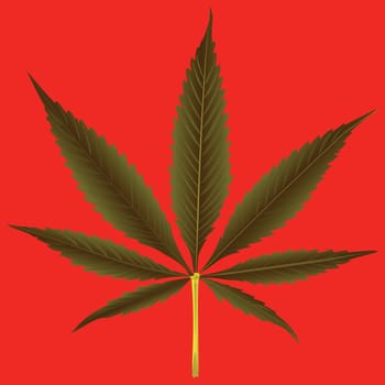 cannabis leaf against orange background