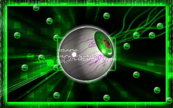 Eye