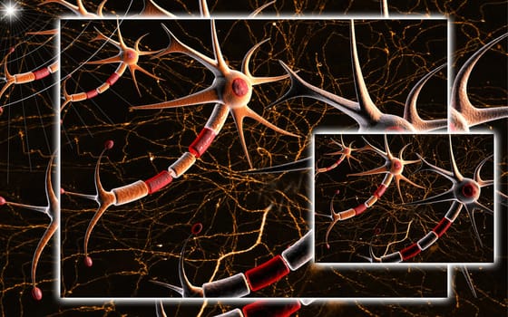 Neuron