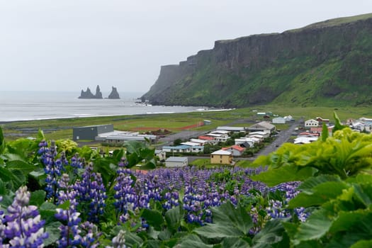 The icelandic town Vik