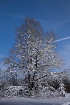 Wintertime
