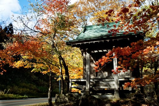 Autumn view on japanese tea house