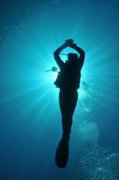 Female diver in backlight
