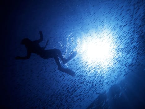 Swimming in the Sea
