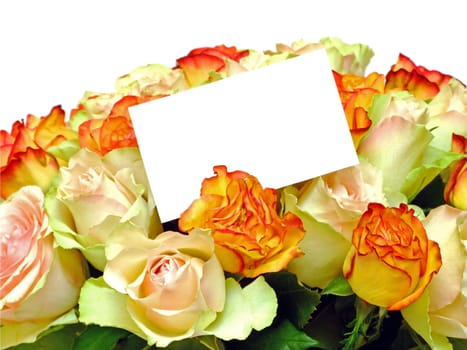 Bouquet of roses