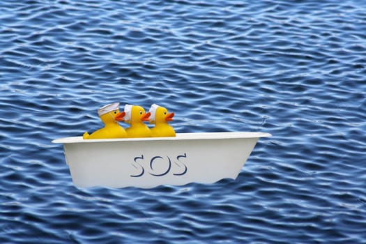 Rubber Duck -2-
