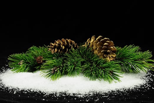 Pine Green 2