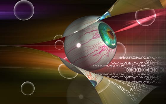 Eye