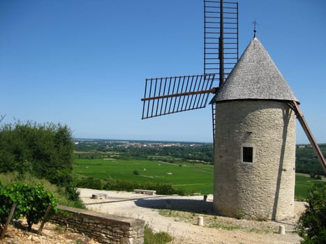 Windmill in the vineyards