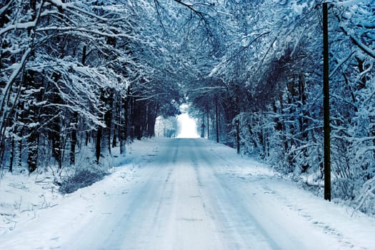 Winter Road Hoarfrost