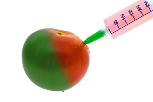 Genetically Modified Tomato