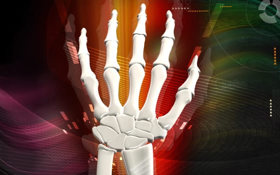 Hand bone