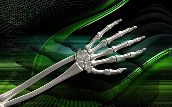 Hand bone