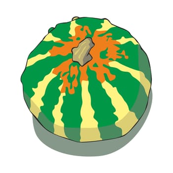illustration of pumpkin