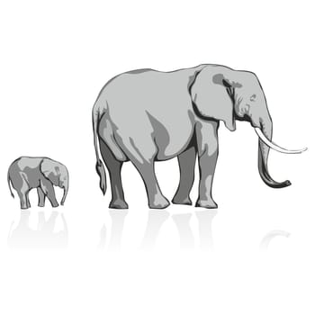 illustration of wild elephants