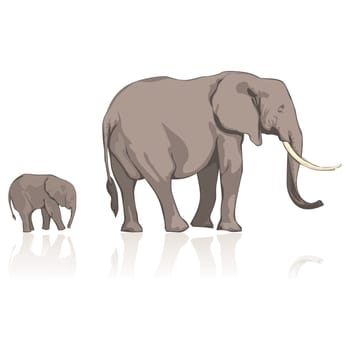 illustration of wild elephants