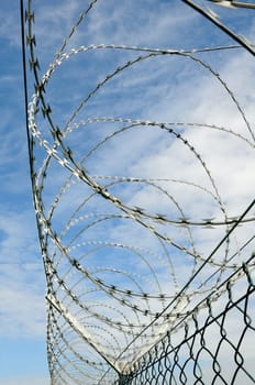 Barbed wire