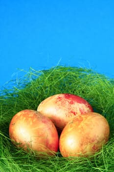 three easter eggs in green nest