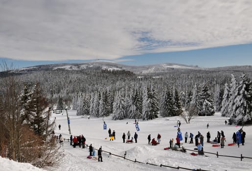 Sleigh ride in the Harz Mountains