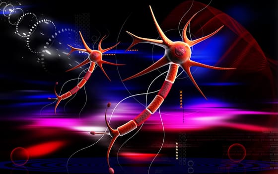 Neuron