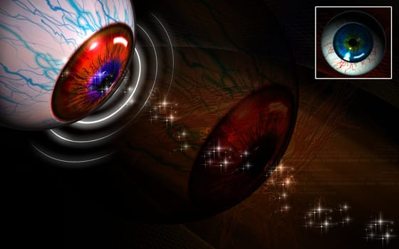 Eye