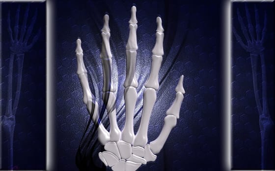 Hand bone
