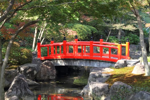 Japanese garden