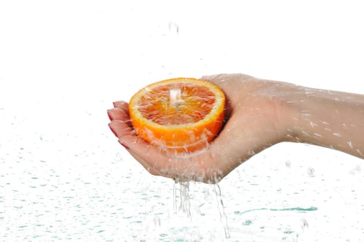 orange in palms
