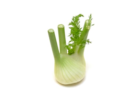 Fennel