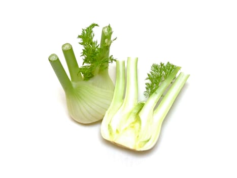 Fennel