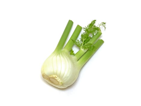 Fennel