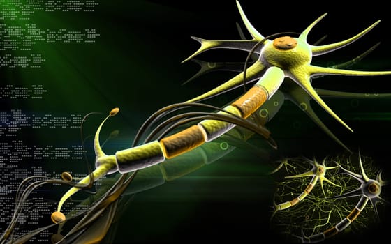 Neuron