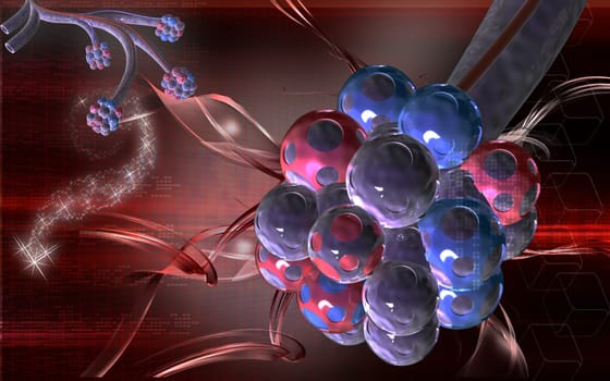 Alveoli