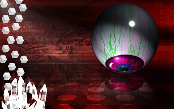 Eye