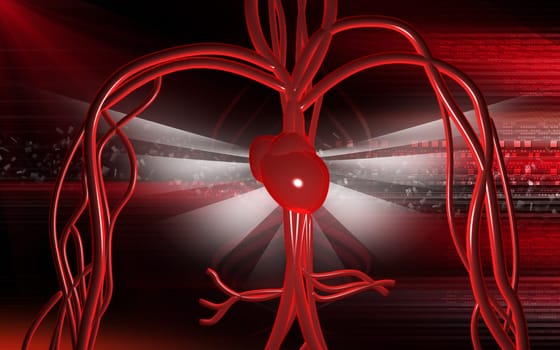Vascular system